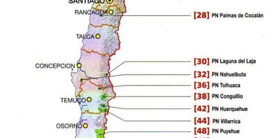 Peta dari futaleufu Chile